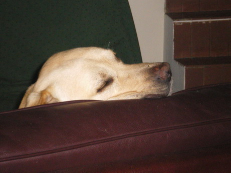 c0124619_34578.jpg