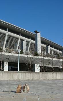 c0028424_214239.jpg