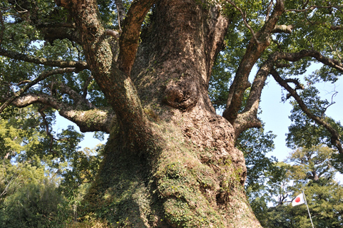c0144038_10465140.jpg