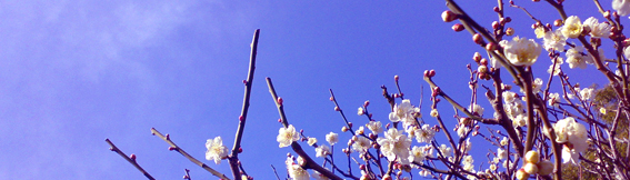 a0052641_14181559.jpg