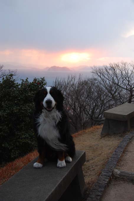 笠山山頂からの夕焼け♡_b0075541_0473678.jpg