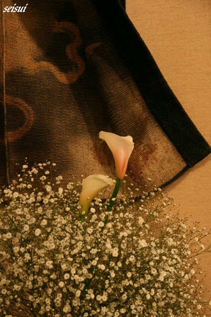 c0126344_937788.jpg