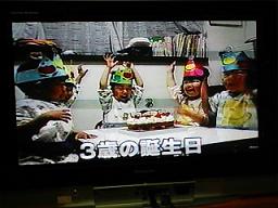 五つ子ちゃん のんこの独り言 五つ子ちゃん のんこの独り言