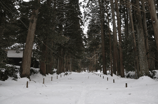 c0093046_15483971.gif