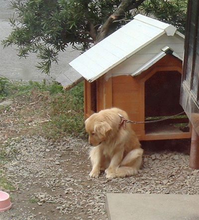 d0096356_2148774.gif