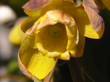 c0152779_1123784.jpg