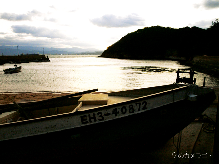 f0157679_15129.jpg