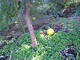 f0024090_1830135.jpg