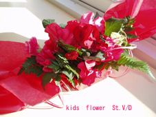 St.V/D_d0144095_22153956.jpg