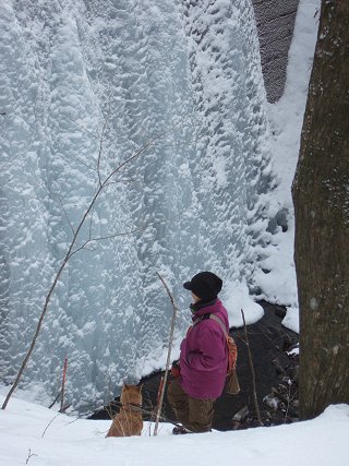 雪のち晴れ。ゆうは野犬になるところでした(；・∀・)_d0143214_2234494.jpg