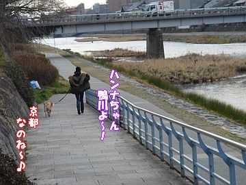素敵な出会い。_c0087521_23133135.jpg