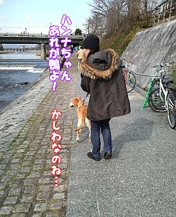 素敵な出会い。_c0087521_23142121.jpg