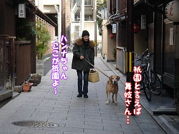 素敵な出会い。_c0087521_23243653.jpg