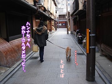 素敵な出会い。_c0087521_232908.jpg
