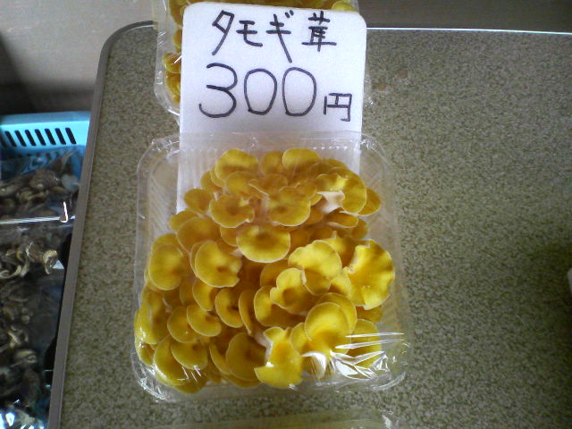 山古志_f0050226_18515793.jpg
