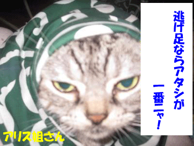 f0008935_16494987.gif
