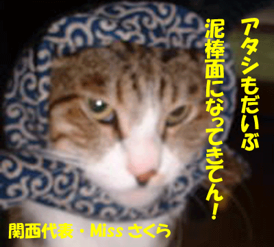 f0008935_16501282.gif