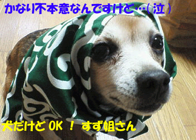 f0008935_16503097.gif