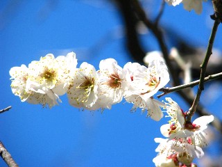 c0090236_033346.jpg
