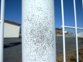 f0106557_10264920.jpg