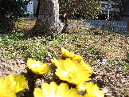 b0059860_13562233.jpg