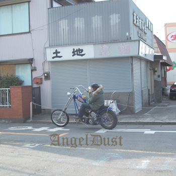 しまチょッパー♪_d0126264_1959327.jpg
