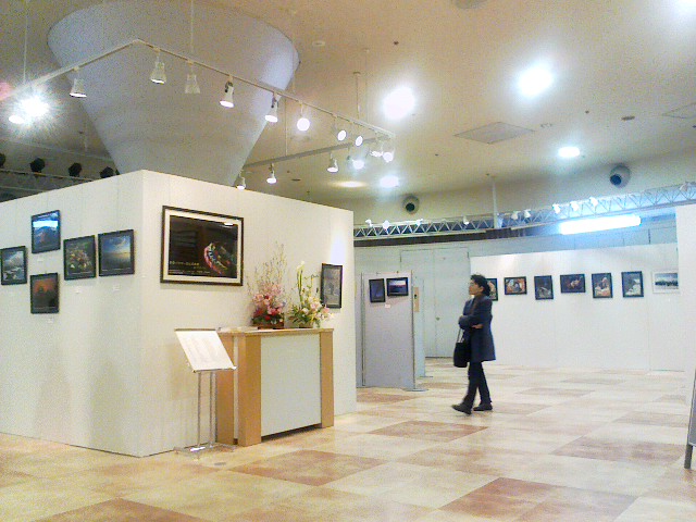 c0048667_12565618.jpg