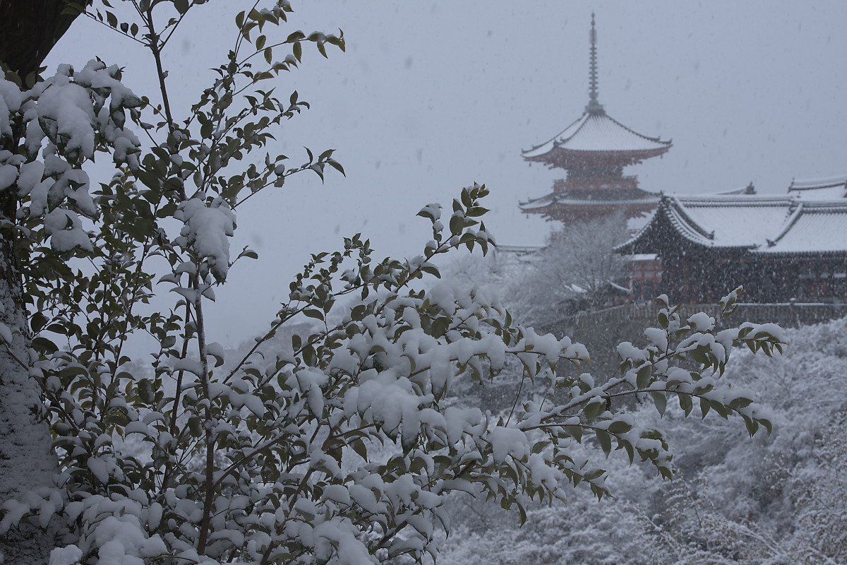 京都　雪景色　<東山>　6_f0021869_18263195.jpg