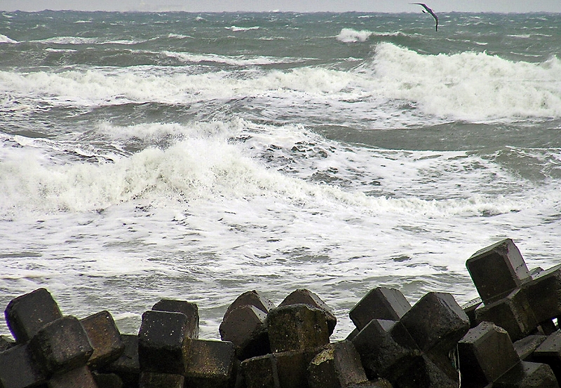 今日の日本海は、やはり演歌の世界です。_f0121379_2140238.jpg