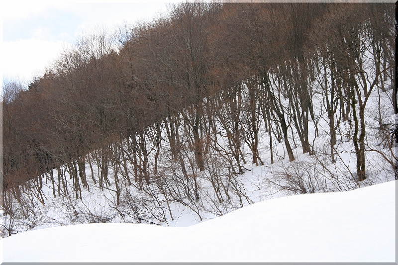 e0024081_9512289.jpg