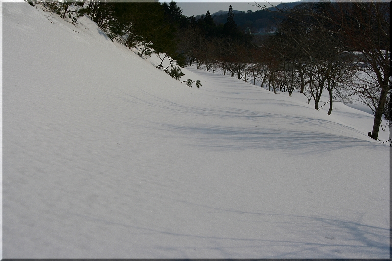 ２９日　山エリア　パートⅡ＾＾_e0024081_9524516.jpg