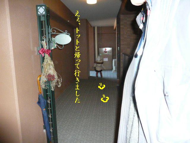e0094407_2250646.jpg