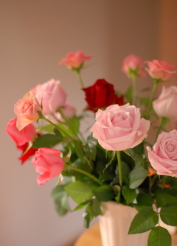 c0093710_12371554.jpg