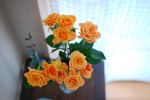 c0093710_1237345.jpg