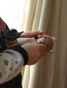 e0114910_1640161.jpg
