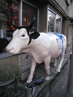 f0040310_1203094.jpg