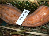 2008年のヤップデイ-1日目_a0043520_7471947.jpg