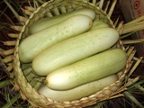 2008年のヤップデイ-1日目_a0043520_754122.jpg