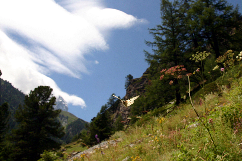 d0054625_2155169.jpg