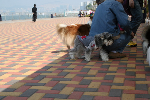 e0018143_1462511.jpg