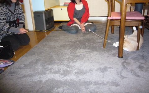 鍋の会と憤慨_e0058443_23591133.jpg