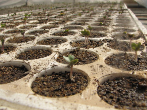 c0127548_214644100.jpg