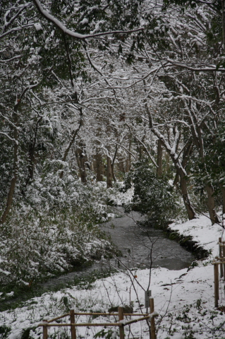 雪の森_a0024250_23182699.jpg