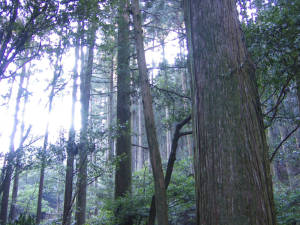 e0033751_22302799.jpg