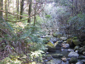 e0033751_22462915.jpg