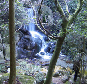 e0033751_2254552.jpg