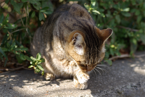 春が来た！_c0103558_11274740.jpg