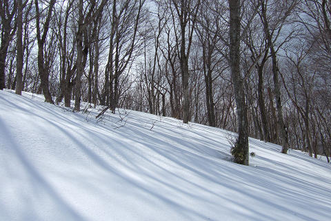 e0045768_2218433.jpg
