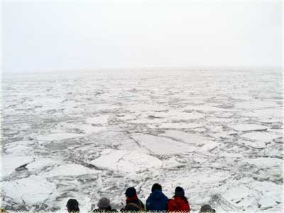 f0083977_11592751.jpg