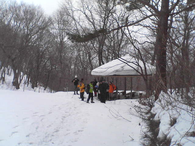 a0007388_16268.jpg